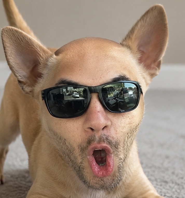 a dog wearing sunglasses with christian ventura's face edited onto it
